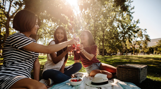 Girls cheering beers at picnic