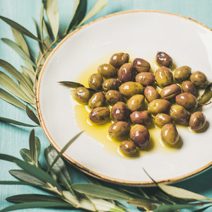 Pickled olives in oil and olive tree branch over blue background