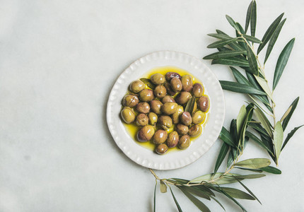 Pickled green olives in virgin oil and olive tree branch