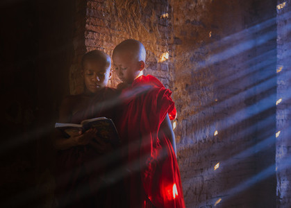 Young Buddhist monk reading and studyin