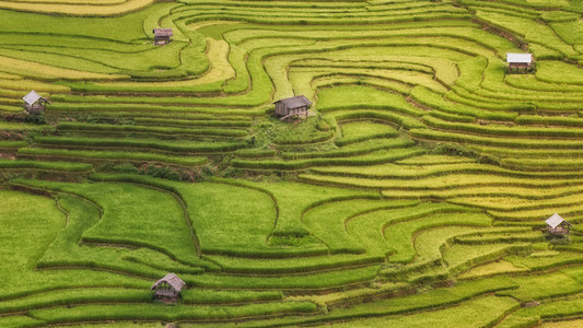 Terraced rice field inside fog and morning ray in Mu Cang Chai