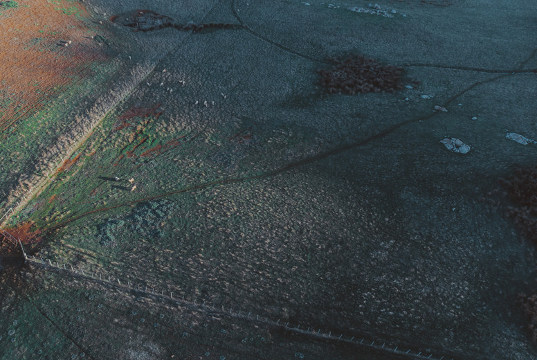 A Drive Around Tasmania 60