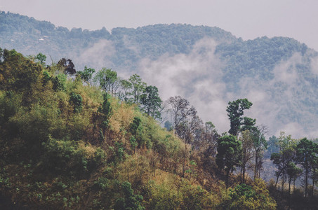 Misty hills  Thai countryside
