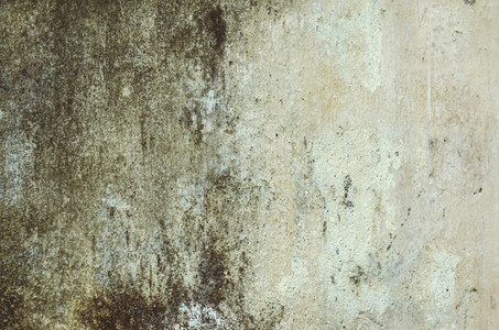 Old  white wall texture