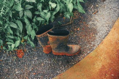 Dirty Gardening Rubber Boots
