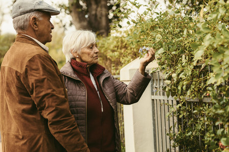 Elderly couple looking at flowers on fence