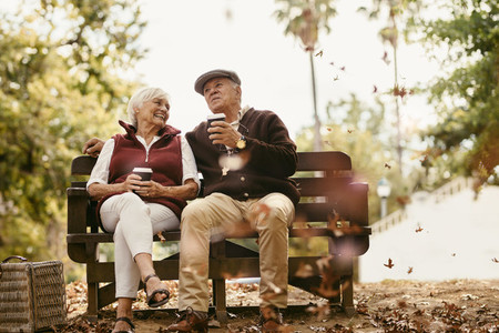 Relaxed senior couple on picnic
