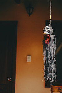 Halloween Skeleton Hanging