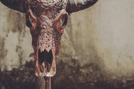Carved Bull Scull