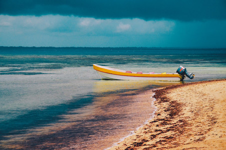 Boat On The Tropical Beach