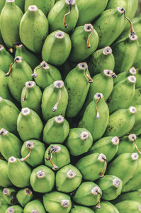Green  Unripe Bananas Pattern