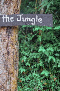 The Jungle sign