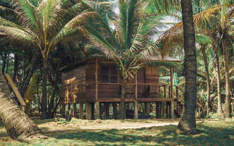 Tropical jungle bungalow