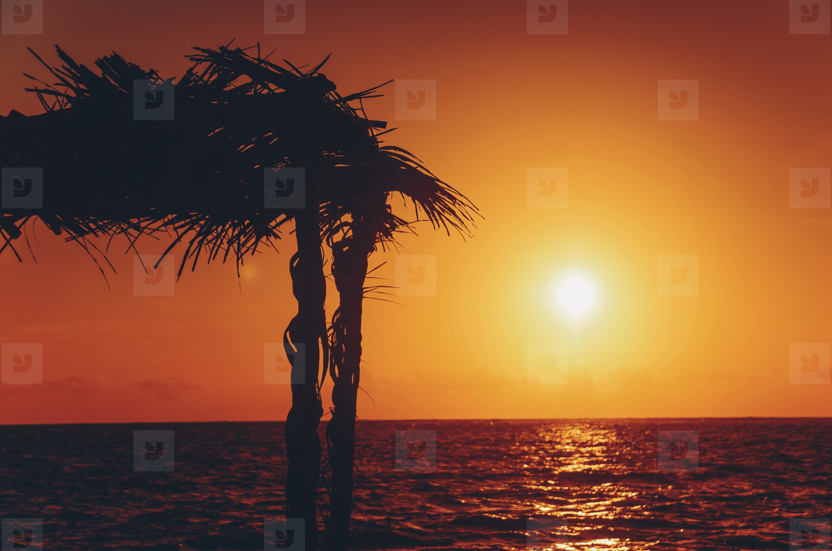 Tropical beach shack at sunset