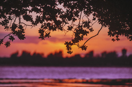 Vivid Purple Sunset Background