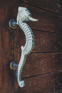 Seahorse Pull Door Metal Handle