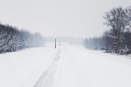 Walking path in snow