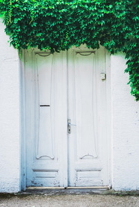 Old  White Door