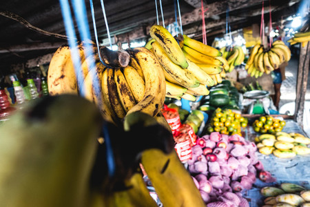 Bananas and other tropical fruit