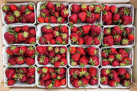 red strawberries at a farmers ma