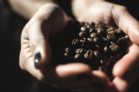 Hands full of coffee beans