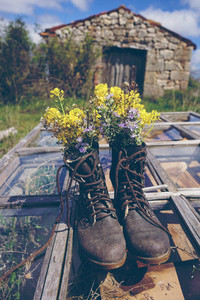 Old boots filled with flowers