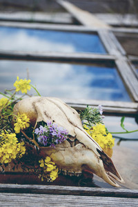 Skull decorated with flowers