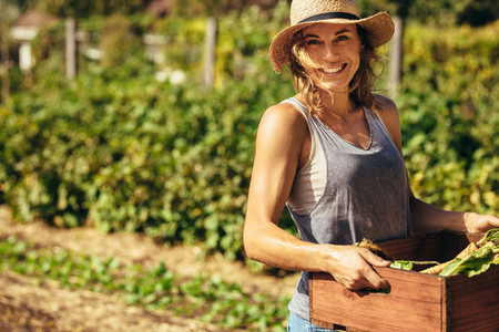 Friendly woman harvesting fresh vegetables from farm