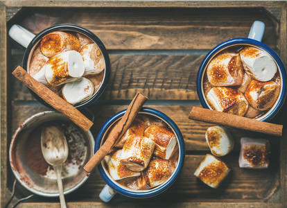 Hot chocolate with cinnamon and roasted marshmallows  copy space