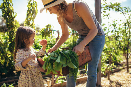 Mother and daughter with fresh vegetable in farm