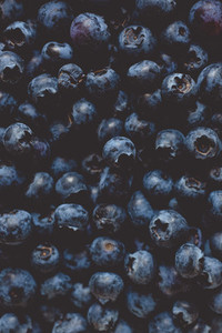 fresh bio blackberry blueberry