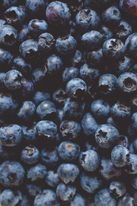 fresh bio blackberry  blueberry