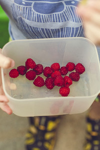 harvest fresh bio raspberry