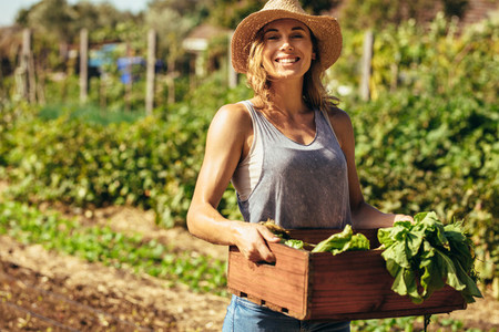 Woman harvesting fresh vegetables from her farm
