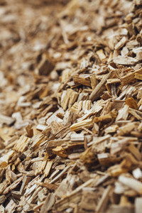 wood chips firewood