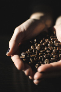 Hands full of coffee beans