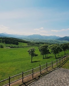 Mountain view with wooden fence