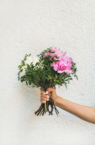 Bouquet of pink and white peony flowers in human hand