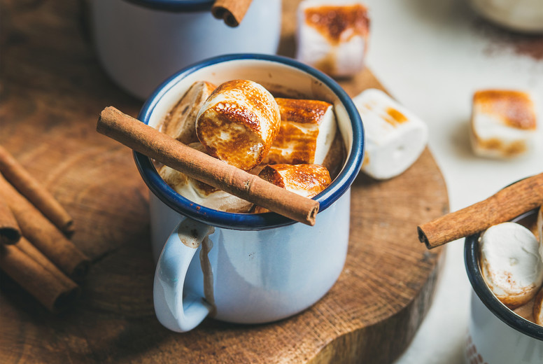 Hot chocolate with cinnamon and roasted marshmallows in mugs