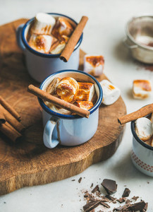 Hot chocolate with cinnamon and roasted marshmallows in mugs