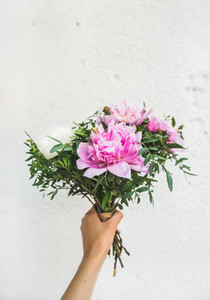 Bouquet of pink and white peony flowers in womans hand