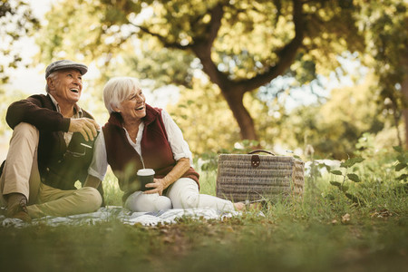 Senior couple having a great time on a picnic