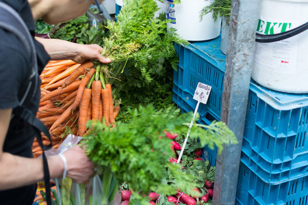 Buying fresh organic carrots
