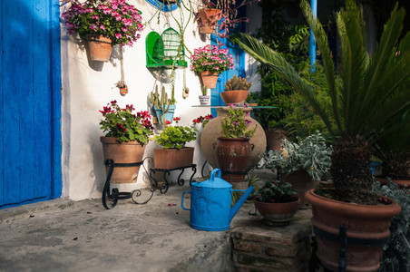 Typical andalusian courtyard in Cordoba Andalusia Spain