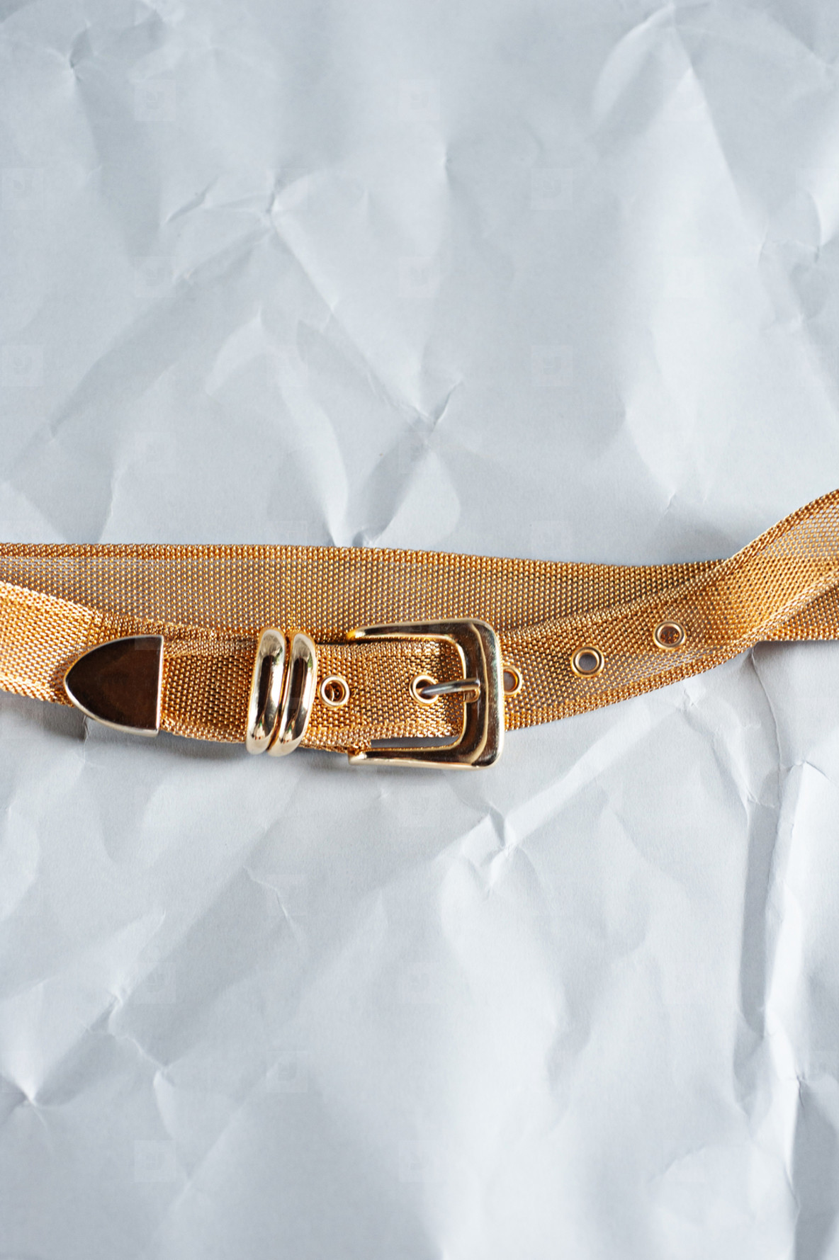 Gold Vintage Wire Belt (158801) YouWorkForThem