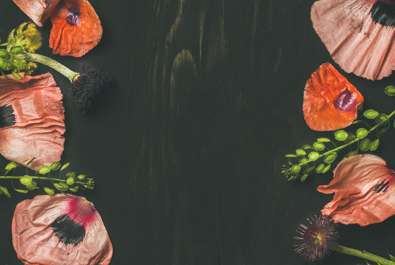 Pink and red flower petals, branches and leaves, copy space