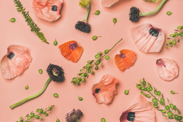 Pink and red flower petals, branches and leaves, top view