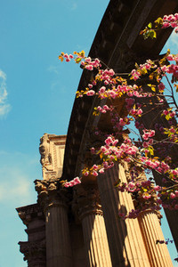 Bloom and Columns