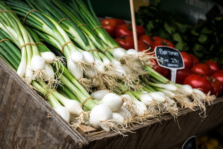Harvested spring onions for sale