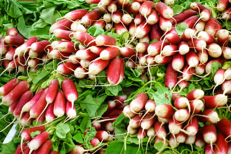 Organic radishes at market